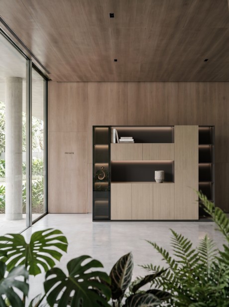 Merz Back Cabinet